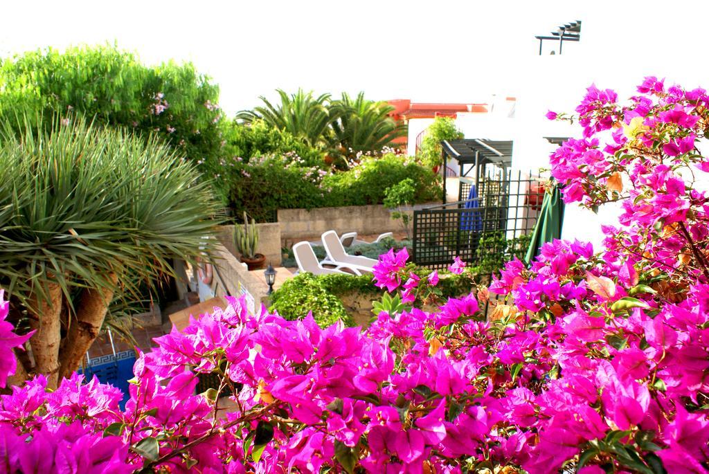 Casa San Miguel Apartment Сан Мигел де Абона Екстериор снимка